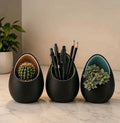 Generic Plastic Egg Shaped Nest Planters Set of 3 Pieces (Black)