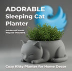Generic Plastic Adorable Sleeping Cat Planter (Only Planter) (Grey)